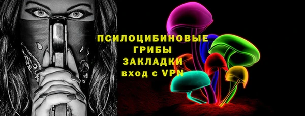 apvp Алексин