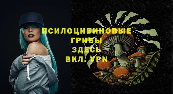 apvp Алексин