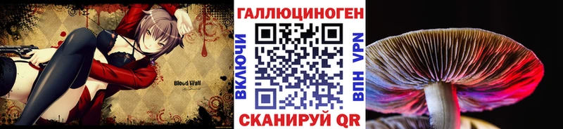 блэк спрут зеркало  Чебаркуль  Галлюциногенные грибы GOLDEN TEACHER  где купить  