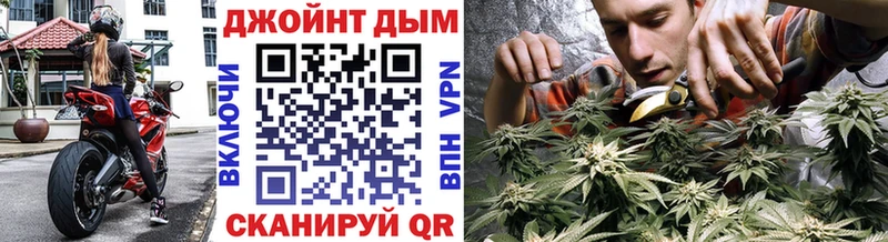 купить  сайты  Чебаркуль  кракен вход  Конопля сатива 